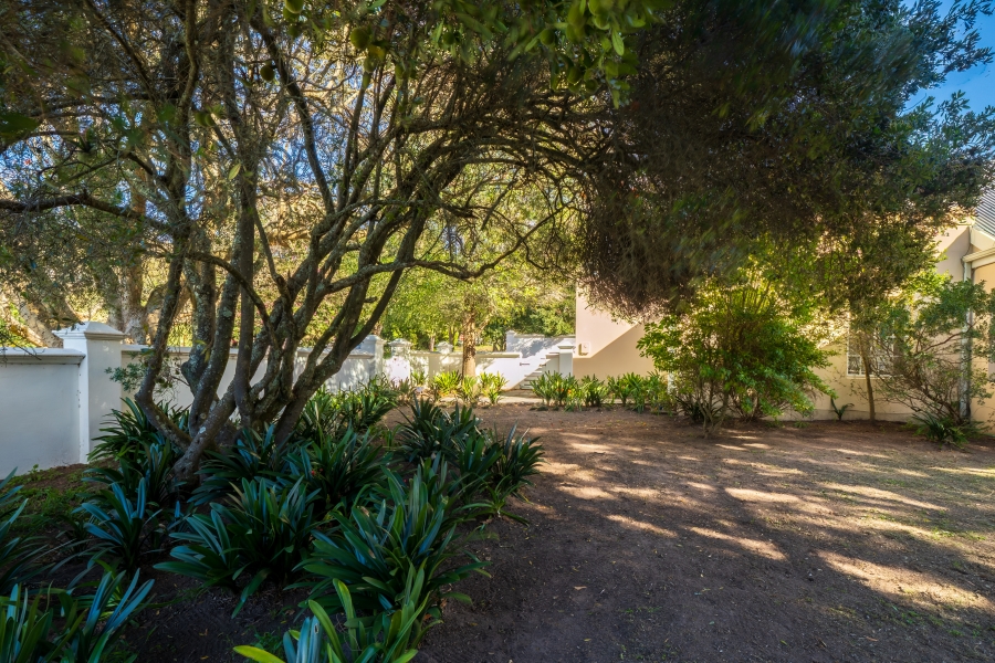 4 Bedroom Property for Sale in Belvidere Estate Western Cape